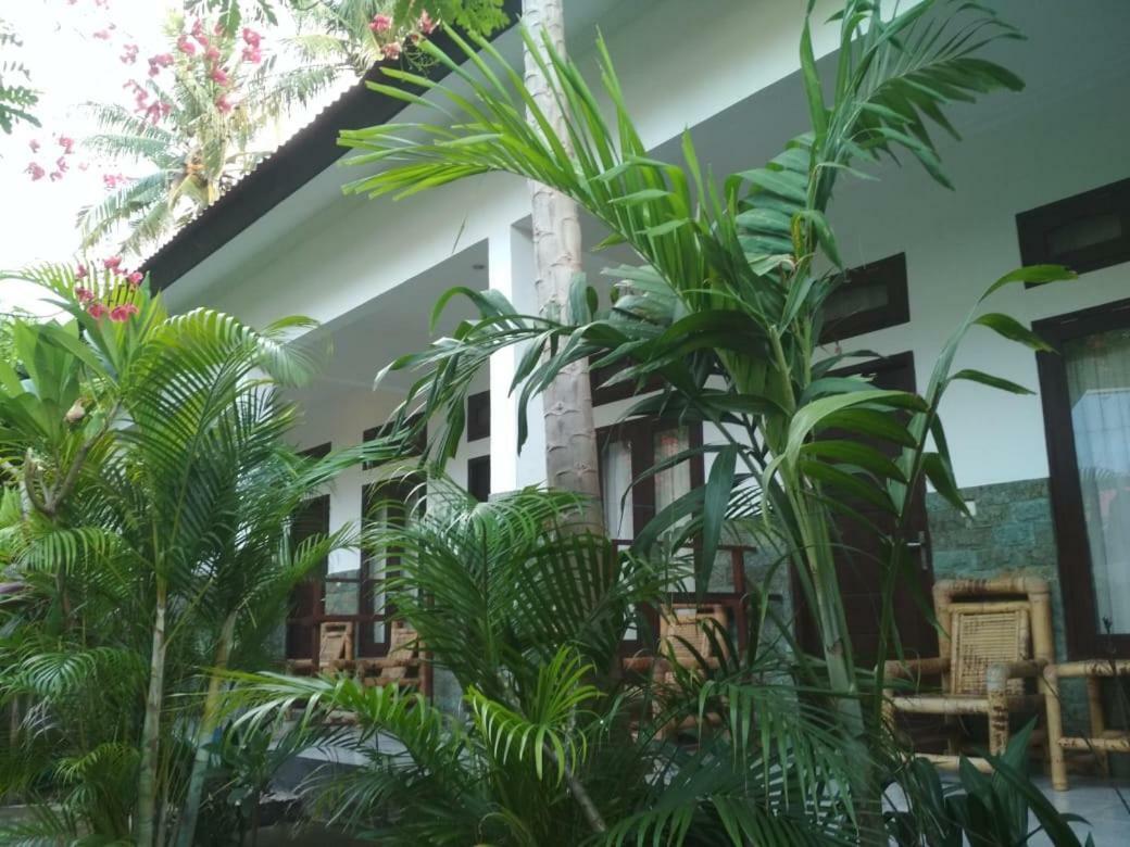 Almaida II Gili Trawangan Bed and Breakfast Eksteriør billede